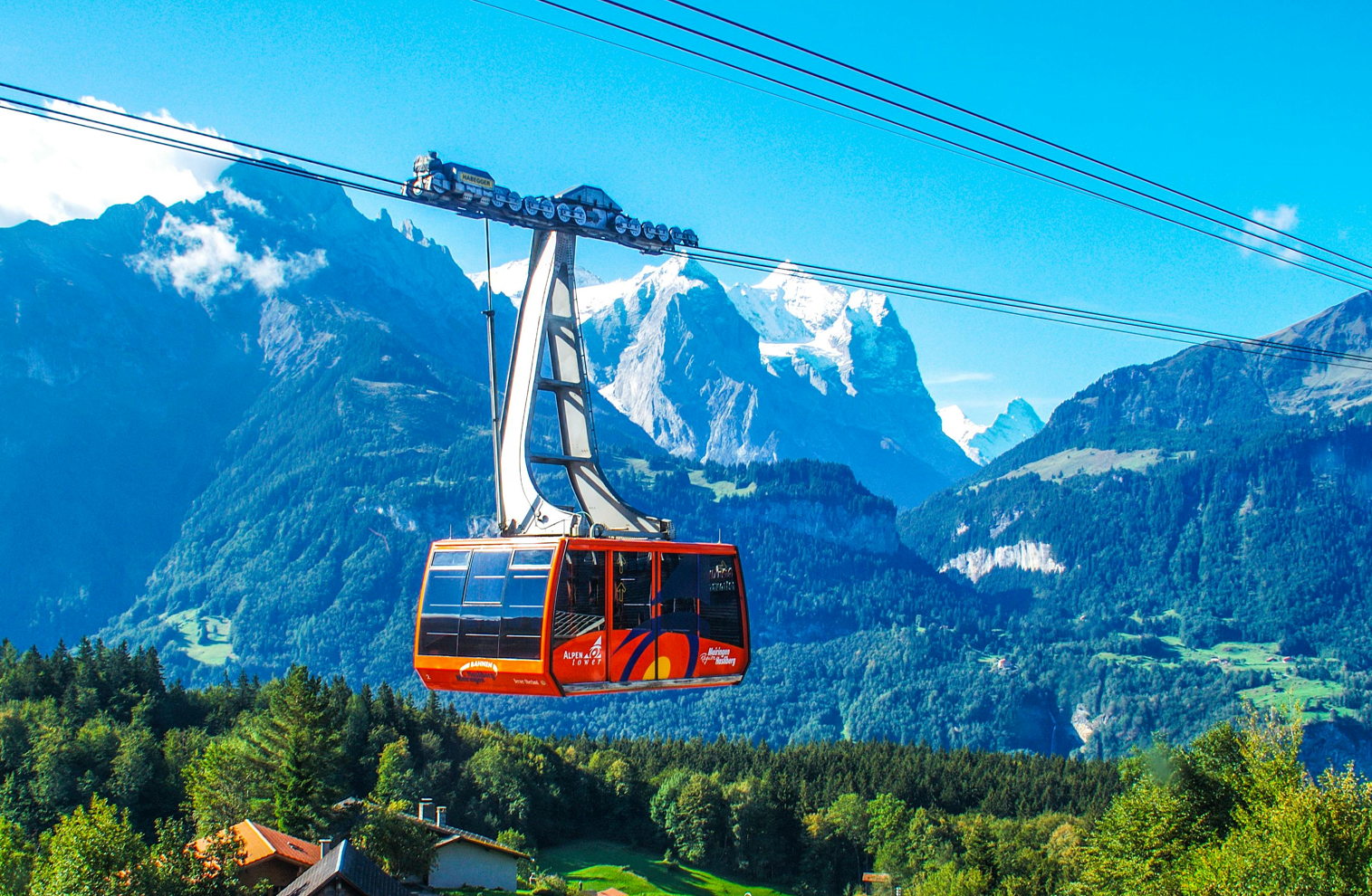 ontario oinp draw 2024